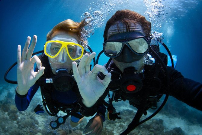 Discover Scuba Diving in Dubai